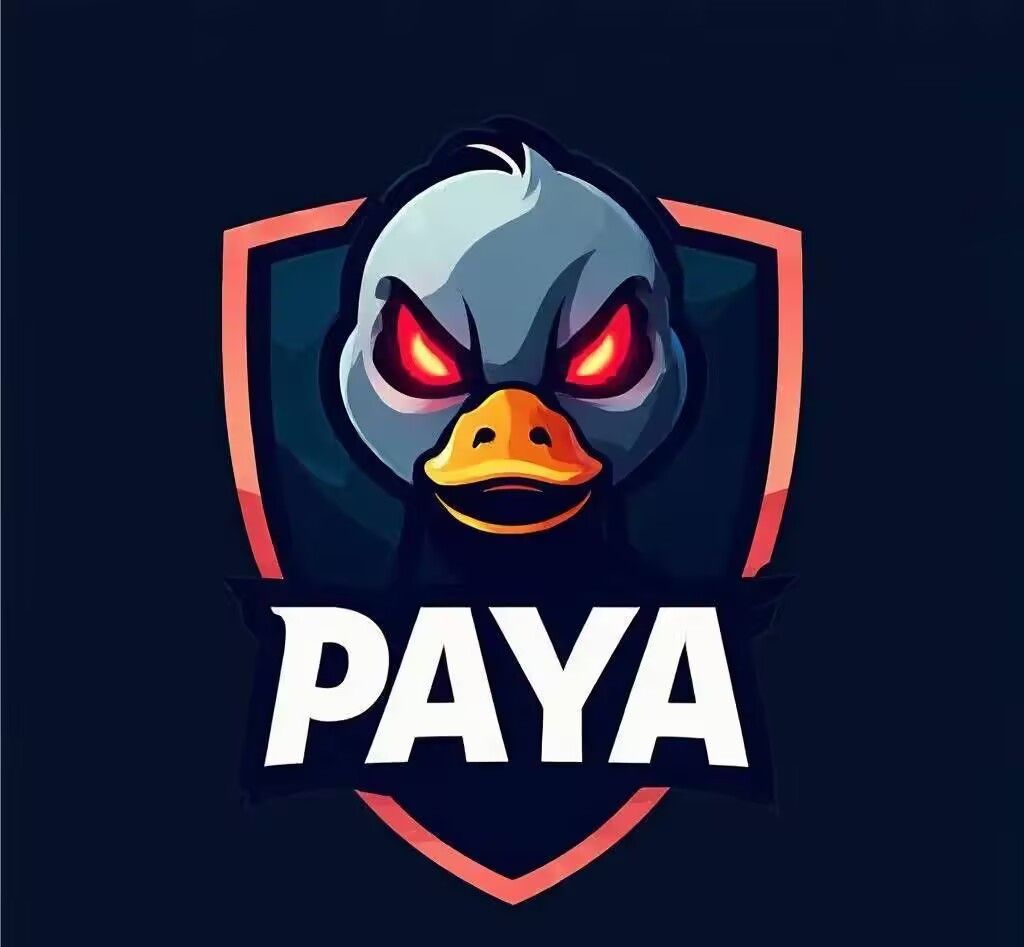 PAYA 战队图标
